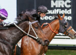 Two jockeys race horses in a tight finish, left jockey in purple silks and white helmet, center jockey in black gear, horses' bridles and reins visible as they race past a blurred background.