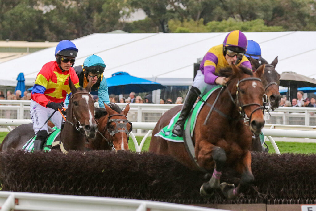 Jockeys riding racehorses jump a hurdle, colorful silks in red, yellow, blue and purple with spectators in the background.