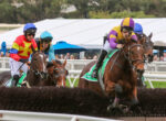 Jockeys riding racehorses jump a hurdle, colorful silks in red, yellow, blue and purple with spectators in the background.