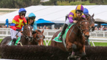 Jockeys riding racehorses jump a hurdle, colorful silks in red, yellow, blue and purple with spectators in the background.