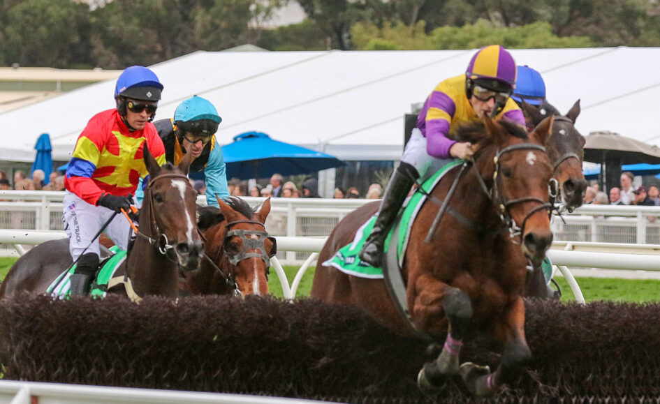 Jockeys riding racehorses jump a hurdle, colorful silks in red, yellow, blue and purple with spectators in the background.