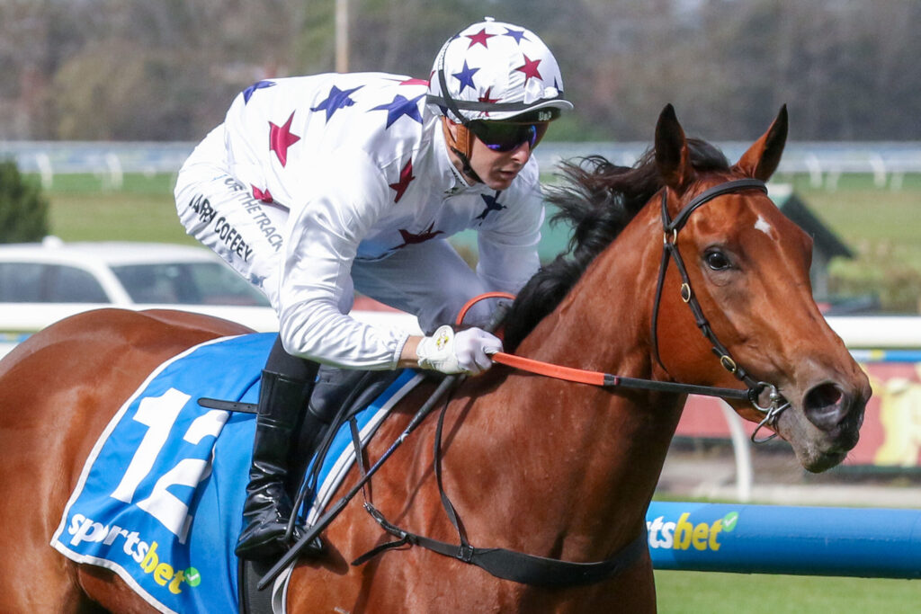 Jockey in star-patterned white silks rides a chestnut horse during a race at the track.