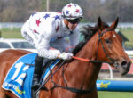 Jockey in star-patterned white silks rides a chestnut horse during a race at the track.