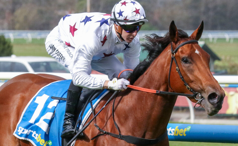 Jockey in star-patterned white silks rides a chestnut horse during a race at the track.
