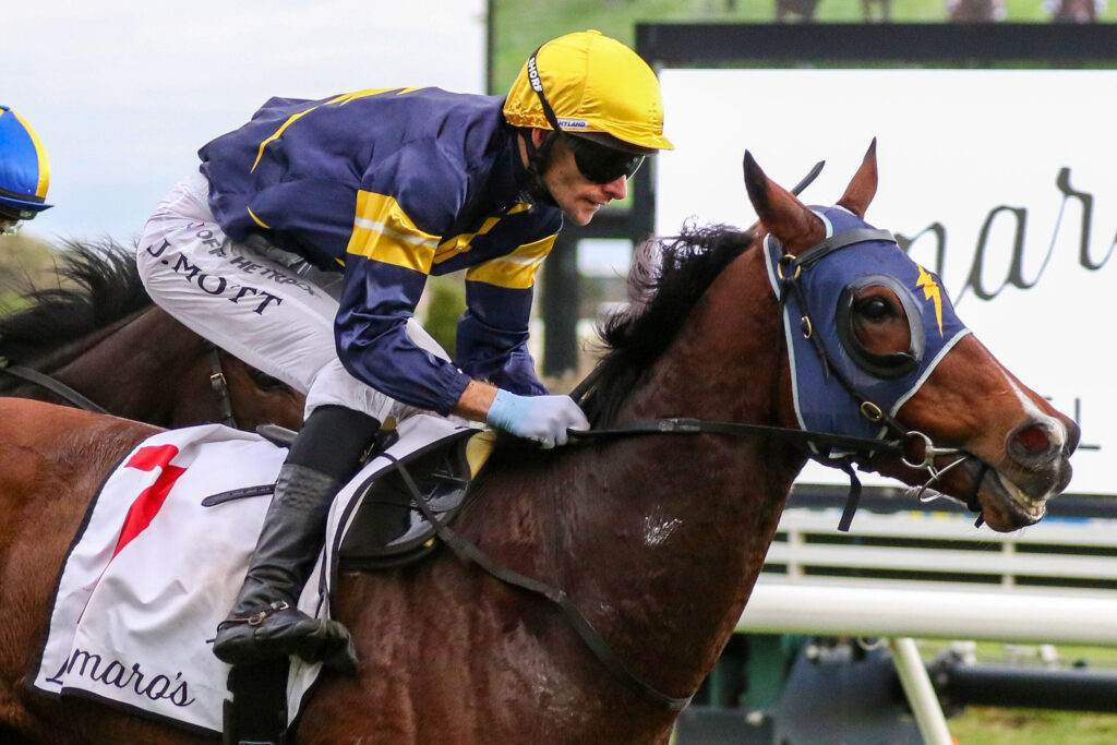 Jockey in blue and yellow silks and a bright yellow helmet rides a brown horse during a race, leaning forward toward the jump lines.