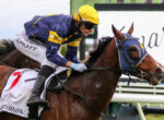 Jockey in blue and yellow silks and a bright yellow helmet rides a brown horse during a race, leaning forward toward the jump lines.