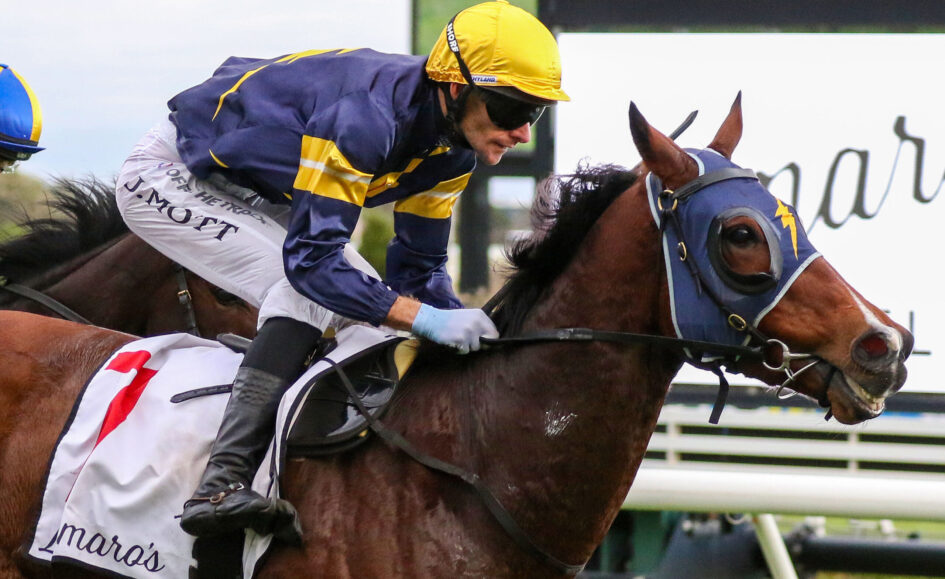 Jockey in blue and yellow silks and a bright yellow helmet rides a brown horse during a race, leaning forward toward the jump lines.