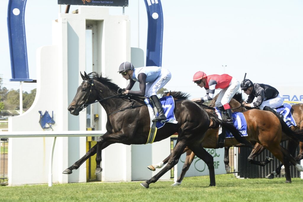 Jockeys in colorful silks race a dark horse to the front on a grassy track at a crowded finish line.