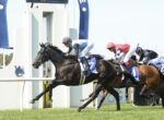 Jockeys in colorful silks race a dark horse to the front on a grassy track at a crowded finish line.