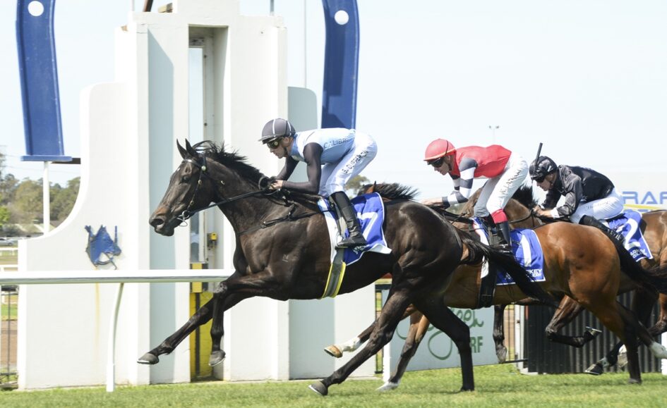 Jockeys in colorful silks race a dark horse to the front on a grassy track at a crowded finish line.