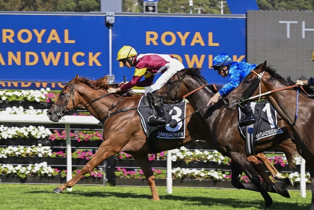 Three jockeys race their horses in a mid-stretch moment; the lead horse wears a number 3 saddle cloth reading LINEBACKER with a yellow helmet and maroon/white silks.