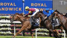 Three jockeys race their horses in a mid-stretch moment; the lead horse wears a number 3 saddle cloth reading LINEBACKER with a yellow helmet and maroon/white silks.