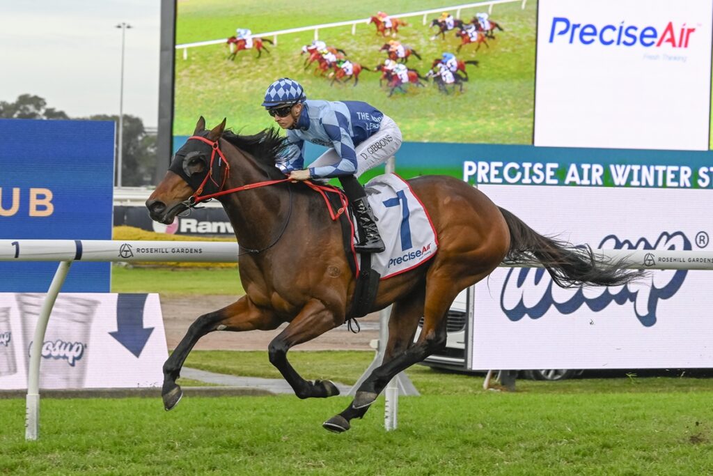 Chestnut racehorse and jockey in blue checkered silks race along the turf, saddlecloth branded Precise Air, at a trackside event