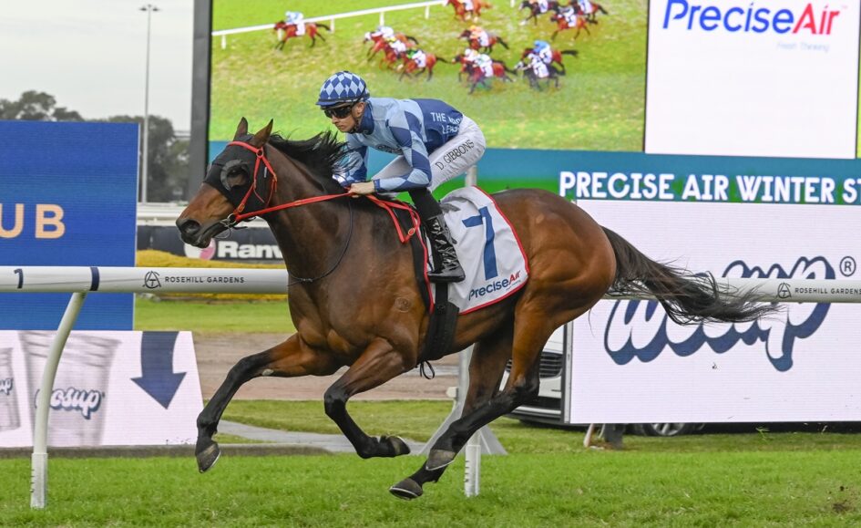 Chestnut racehorse and jockey in blue checkered silks race along the turf, saddlecloth branded Precise Air, at a trackside event