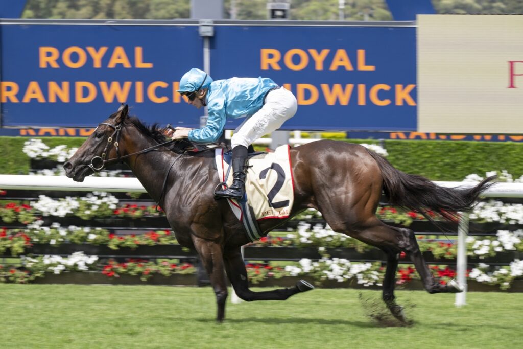 Jockey in blue silks riding a dark brown racehorse with number 2 on a track, Royal Randwick banners in the background.