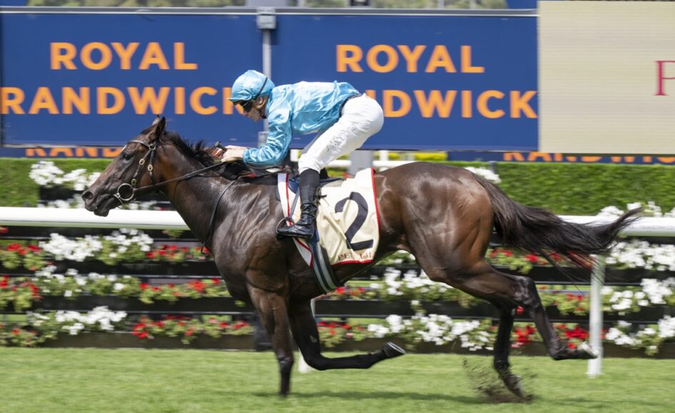 Jockey in blue silks riding a dark brown racehorse with number 2 on a track, Royal Randwick banners in the background.