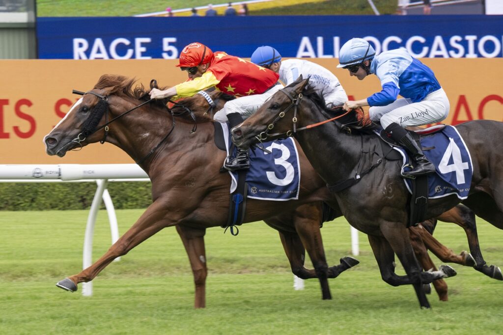 Two leading racehorses and jockeys sprinting on a turf track, numbers 3 and 4 on their blue saddlecloths, colorful silks in red, white, and light blue.