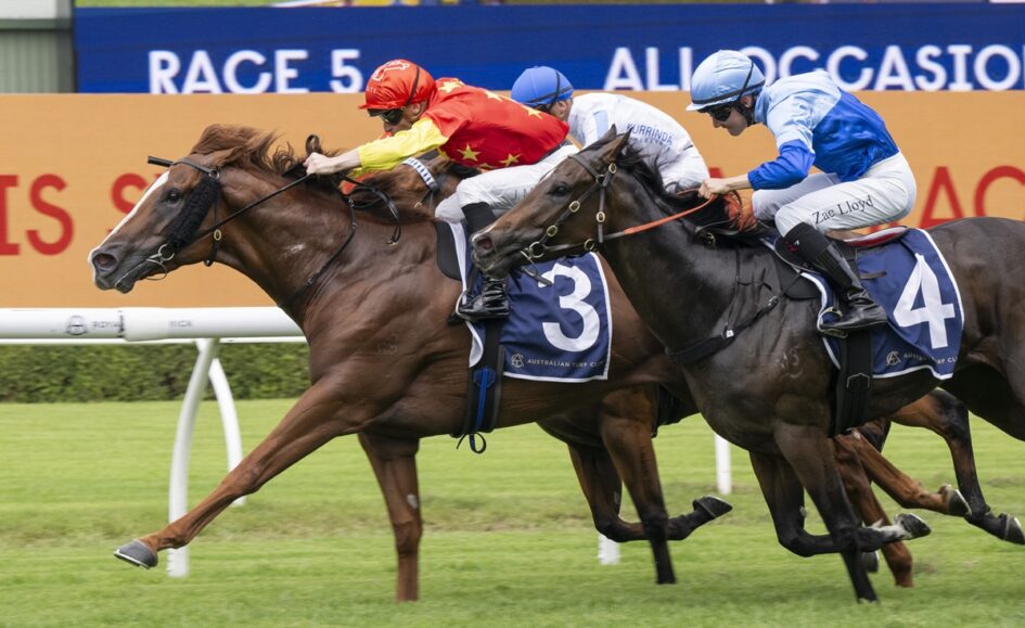 Two leading racehorses and jockeys sprinting on a turf track, numbers 3 and 4 on their blue saddlecloths, colorful silks in red, white, and light blue.