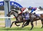Two jockeys ride fast on thoroughbreds during a Hawkesbury race, leading the dark horse wearing number 4.]? Wait ensure proper: two jockeys on running horses, leading horse with number 4 saddlecloth at Hawkesbury track.