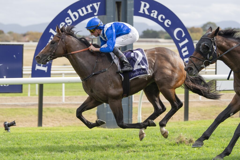 Jockey in blue silks rides a dark brown racehorse with number 2 on a grassy track at Hawkesbury Race Club, another horse close behind in the background.