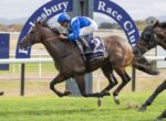 Jockey in blue silks rides a dark brown racehorse with number 2 on a grassy track at Hawkesbury Race Club, another horse close behind in the background.
