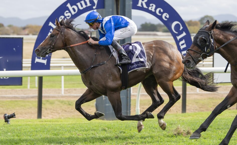 Jockey in blue silks rides a dark brown racehorse with number 2 on a grassy track at Hawkesbury Race Club, another horse close behind in the background.
