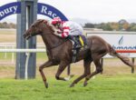 Thoroughbred racehorse galloping on a track with a jockey in red-and-white silks, Josh Parr, during a race.