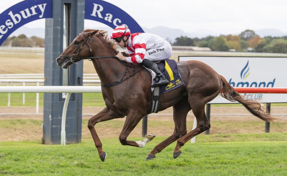 Thoroughbred racehorse galloping on a track with a jockey in red-and-white silks, Josh Parr, during a race.