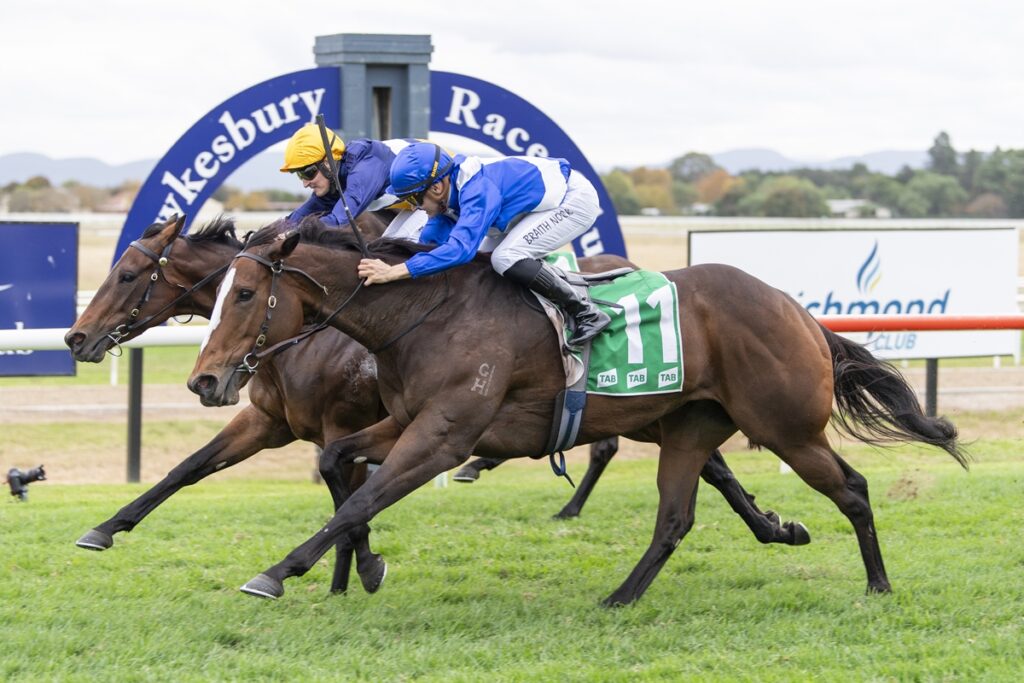 Two jockeys in blue and white silks ride brown horses neck-and-neck on a grassy racecourse, leaning forward as they sprint toward the finish.