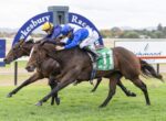 Two jockeys in blue and white silks ride brown horses neck-and-neck on a grassy racecourse, leaning forward as they sprint toward the finish.