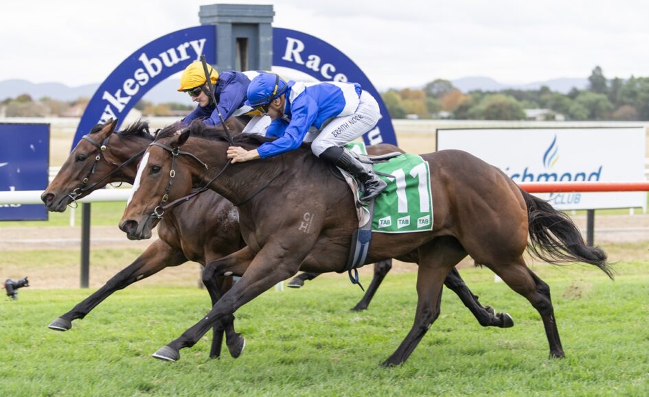 Two jockeys in blue and white silks ride brown horses neck-and-neck on a grassy racecourse, leaning forward as they sprint toward the finish.