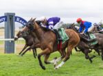 A group of racehorses and jockeys sprinting on a green turf track, leaning forward as they race toward the finish line.