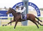 Horse and jockey sprinting on a racecourse, front-man position, Hawkesbury Race Club arch in background