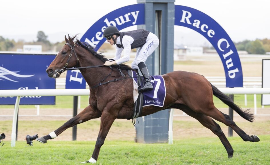 Horse and jockey sprinting on a racecourse, front-man position, Hawkesbury Race Club arch in background