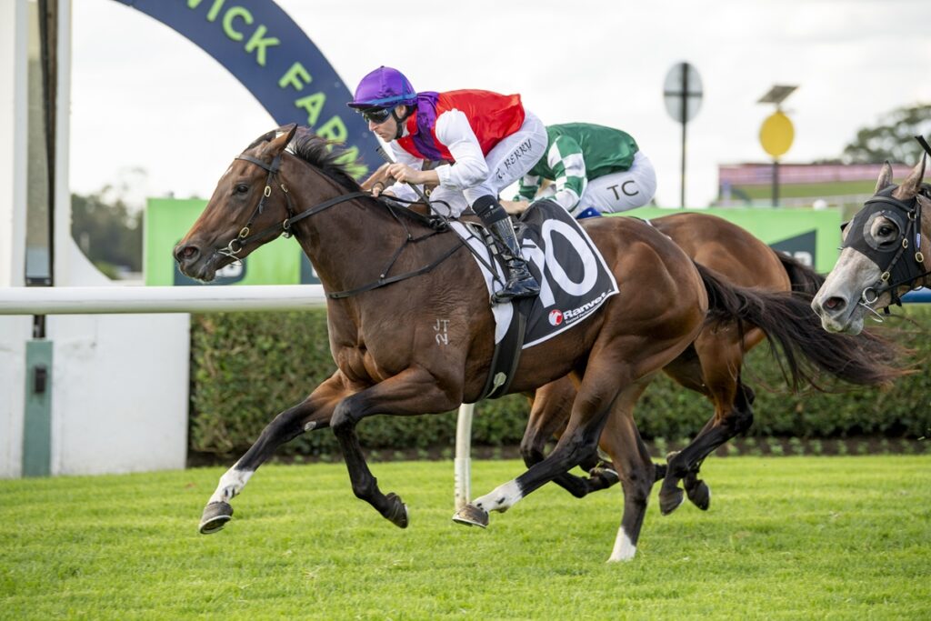 Jockey in red and white silks rides a brown racehorse with a white saddle cloth number 10, sprinting on a grassy track.