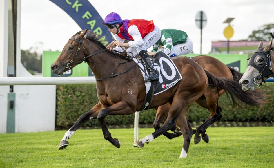 Jockey in red and white silks rides a brown racehorse with a white saddle cloth number 10, sprinting on a grassy track.