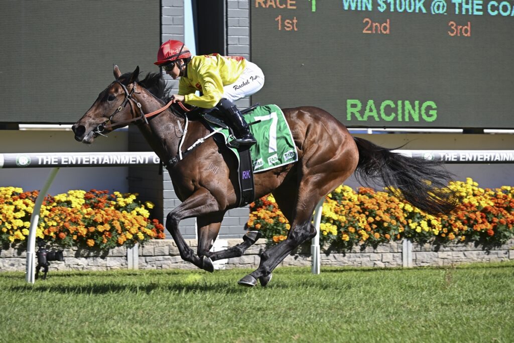 Jockey in yellow silks and red helmet rides a brown racehorse with a green saddle cloth (number 7) down the track, race scoreboard in background.
