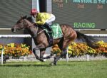 Jockey in yellow silks and red helmet rides a brown racehorse with a green saddle cloth (number 7) down the track, race scoreboard in background.