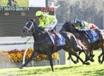 Horse race in progress: dark bay horse leads with a neon-yellow-clad jockey, chased by two other mounted riders on a grassy track at the finish line correction zone.