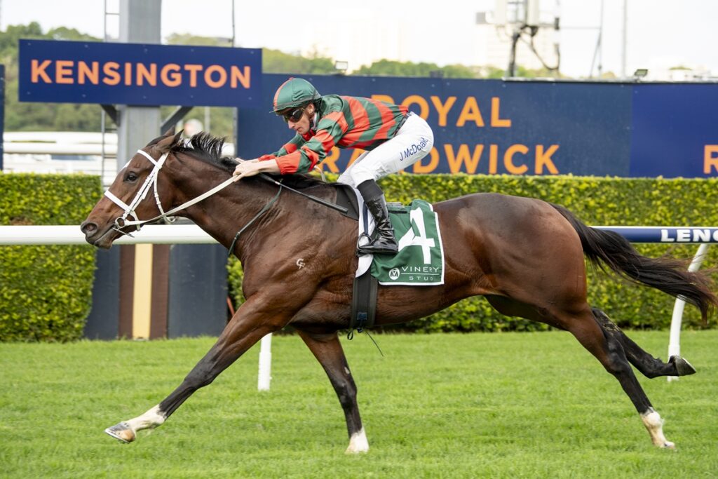 Jockey in green-and-red silks rides a galloping brown horse with saddle cloth number 4 at Kensington racecourse.
