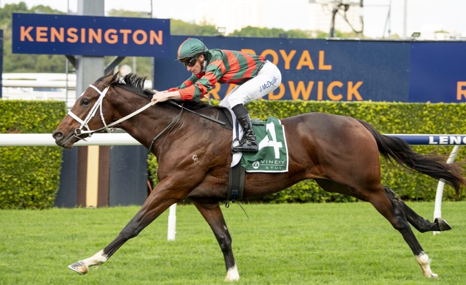 Jockey in green-and-red silks rides a galloping brown horse with saddle cloth number 4 at Kensington racecourse.
