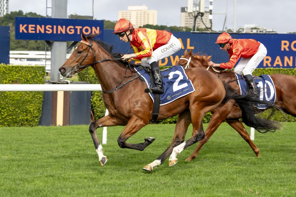 Two jockeys in orange silks race on brown horses at Kensington racecourse, with a large blue Kensington sign in the background.
