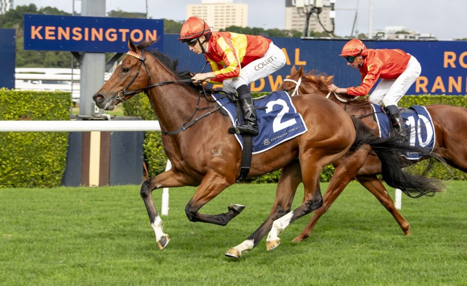 Two jockeys in orange silks race on brown horses at Kensington racecourse, with a large blue Kensington sign in the background.