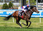Jockey in blue, red, and white silks rides a galloping brown horse on a racetrack fence-lined course.