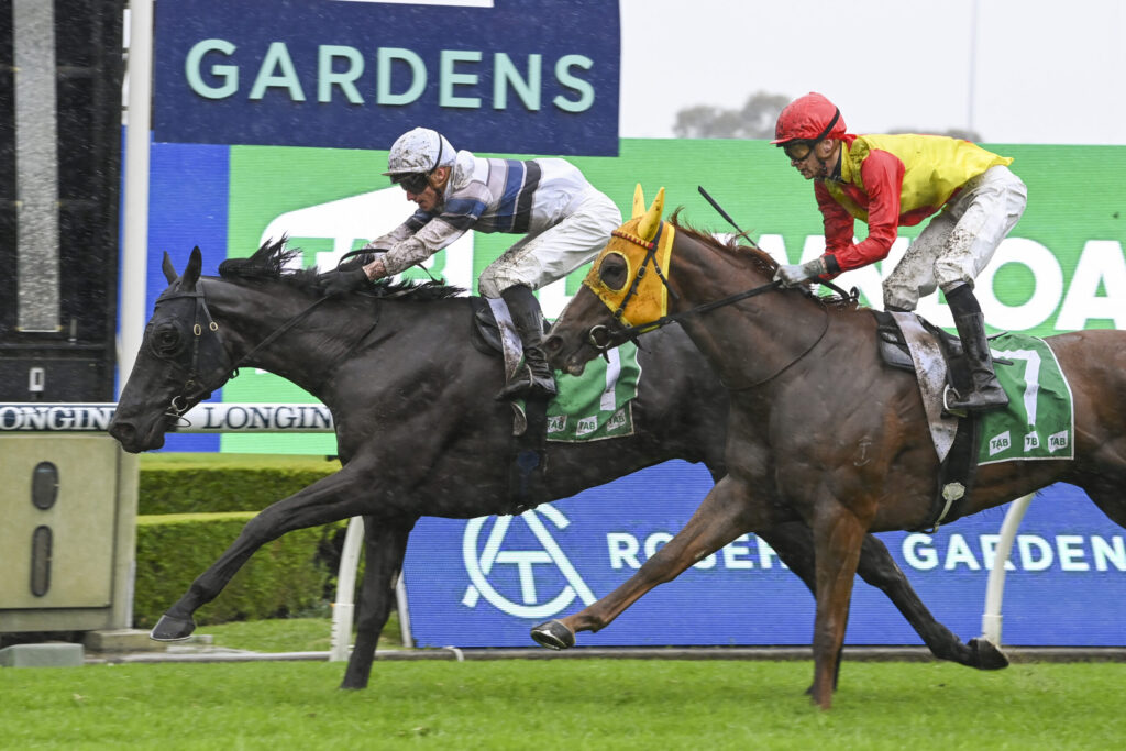 Two jockeys in colorful silks ride racing horses over a hurdle in a rainy horse race, with sponsor boards in the background.