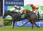 Two jockeys in colorful silks ride racing horses over a hurdle in a rainy horse race, with sponsor boards in the background.