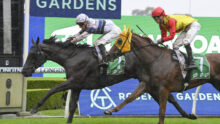 Two jockeys in colorful silks ride racing horses over a hurdle in a rainy horse race, with sponsor boards in the background.
