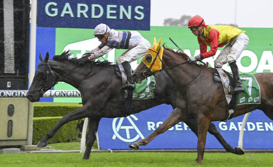 Two jockeys in colorful silks ride racing horses over a hurdle in a rainy horse race, with sponsor boards in the background.
