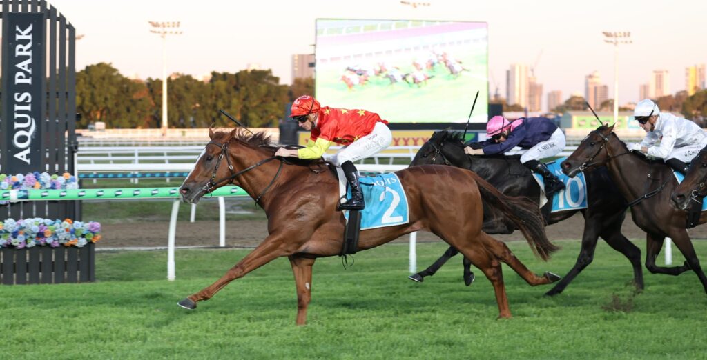 Horse race in progress; lead horse wearing blue number 2 silks with red helmet, chased by others on a grassy track at a stadium.