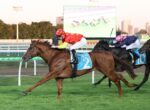 Horse race in progress; lead horse wearing blue number 2 silks with red helmet, chased by others on a grassy track at a stadium.